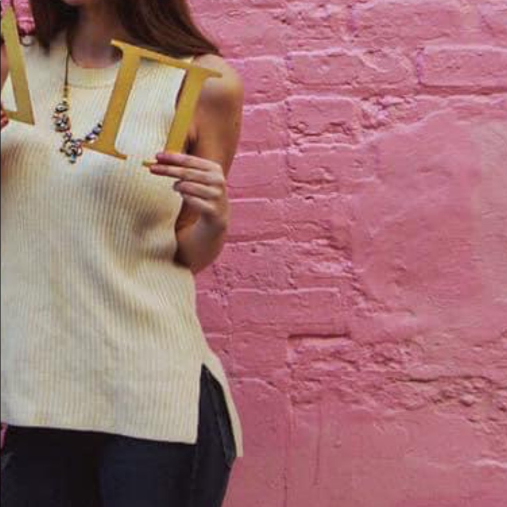 Sleeveless JCREW sweater vest